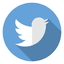 X (Twitter)
